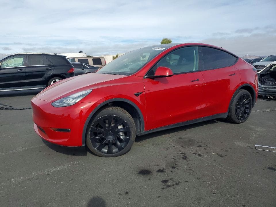 2021 TESLA MODEL Y - 1