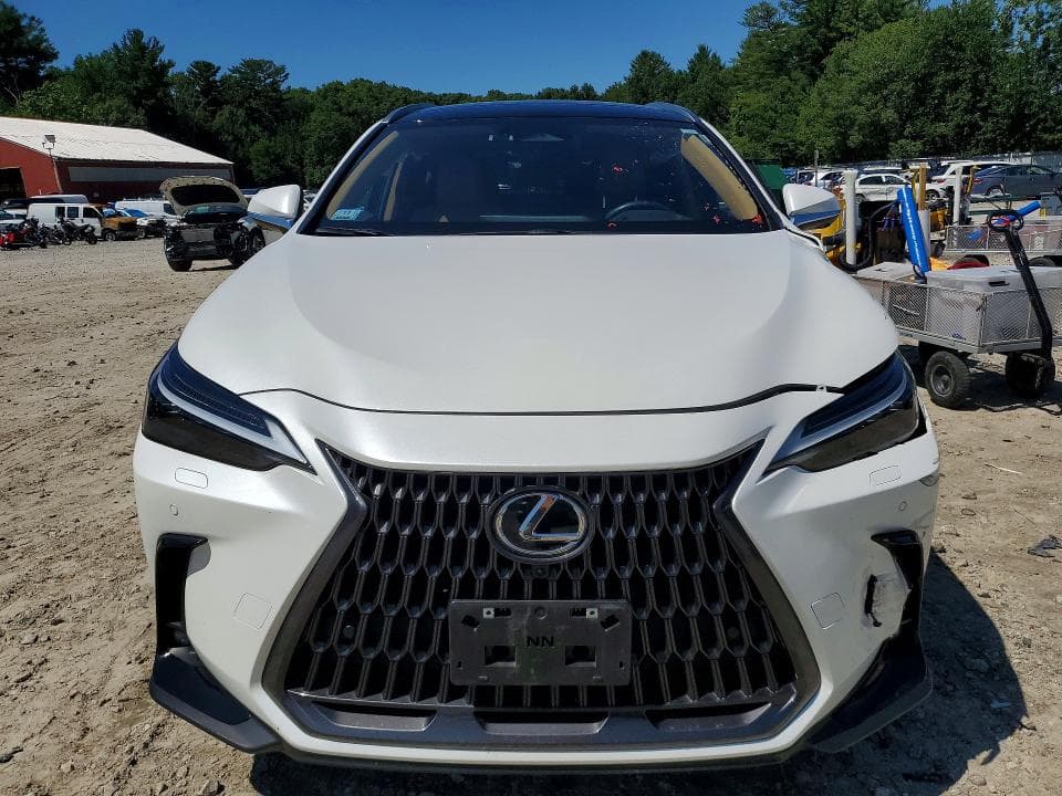 2024 LEXUS NX 350H LUXURY 5