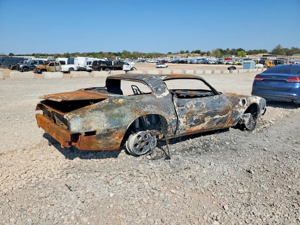 1981 PONTIAC FIREBIRD TRANS AM 3