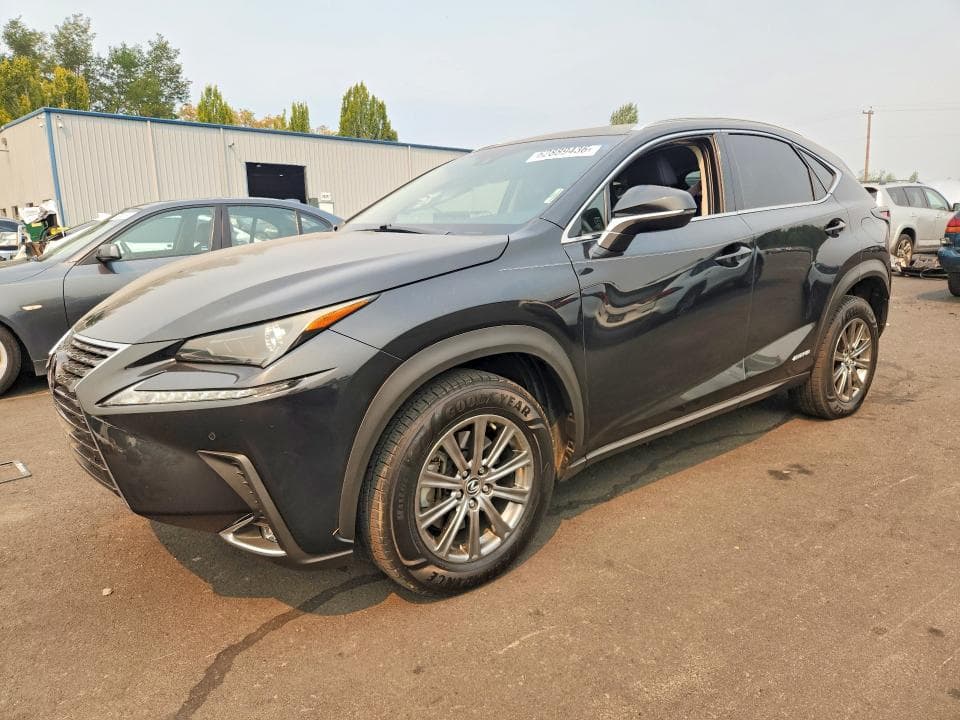 2019 LEXUS NX 300H - 1