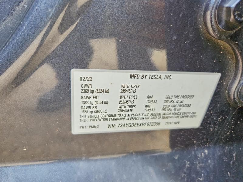 2023 TESLA MODEL  Y 13