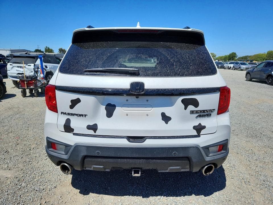 2023 HONDA PASSPORT ELITE 6