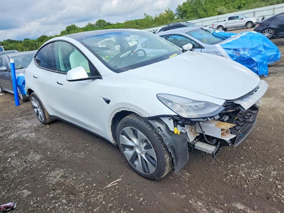 2022 TESLA MODEL Y 4