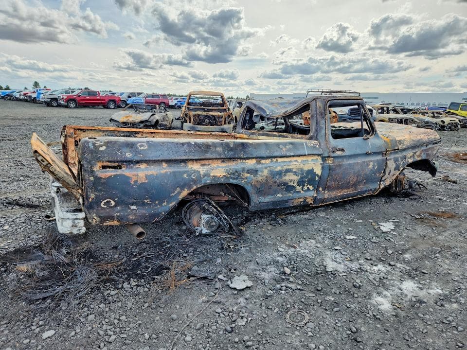1979 FORD F250 3