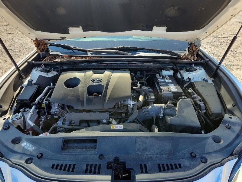 2021 LEXUS ES 250 BASE 11
