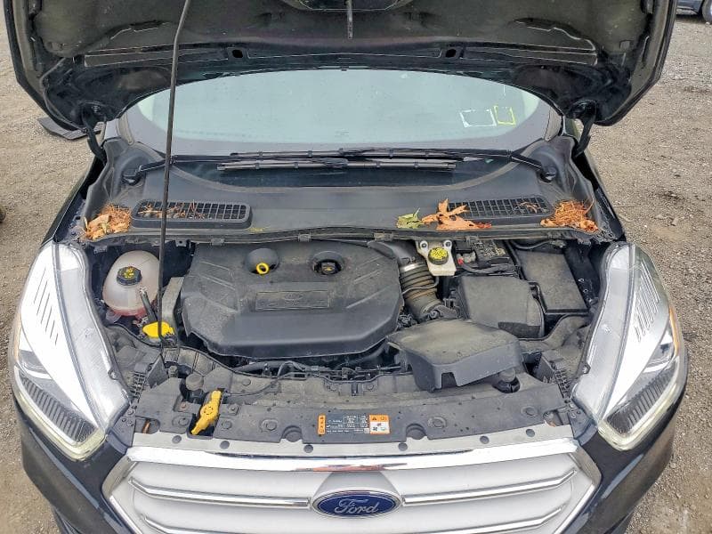 2019 FORD ESCAPE TITANIUM 12