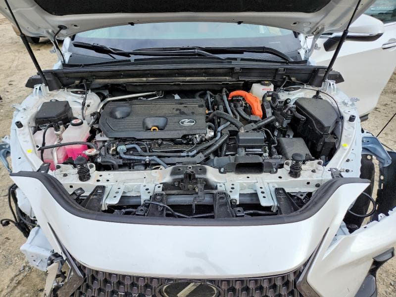 2024 LEXUS NX 350H BASE 12