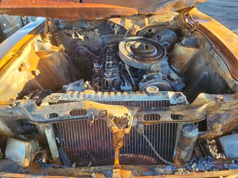 1982 AMERICAN MOTORS CONCORD DL 11