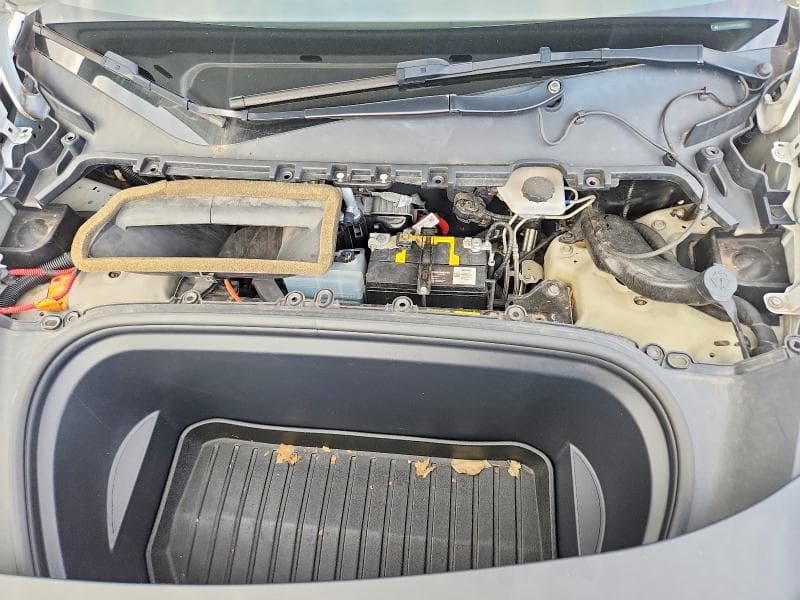 2021 TESLA MODEL Y 11