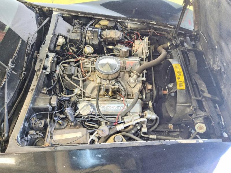 1982 CHEVROLET CORVETTE 11