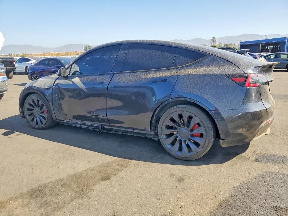 2024 TESLA MODEL Y 2