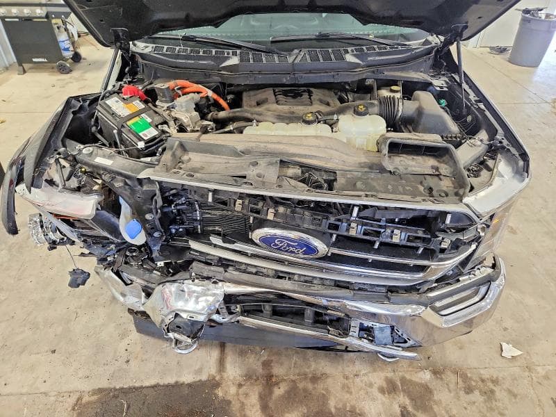 2021 FORD F150 SUPERCREW 11