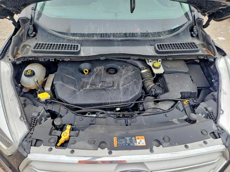2019 FORD ESCAPE TITANIUM 11