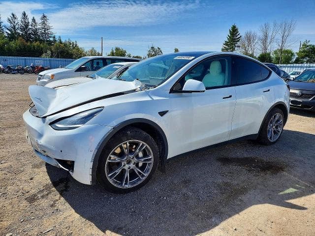 2022 TESLA MODEL Y - 1