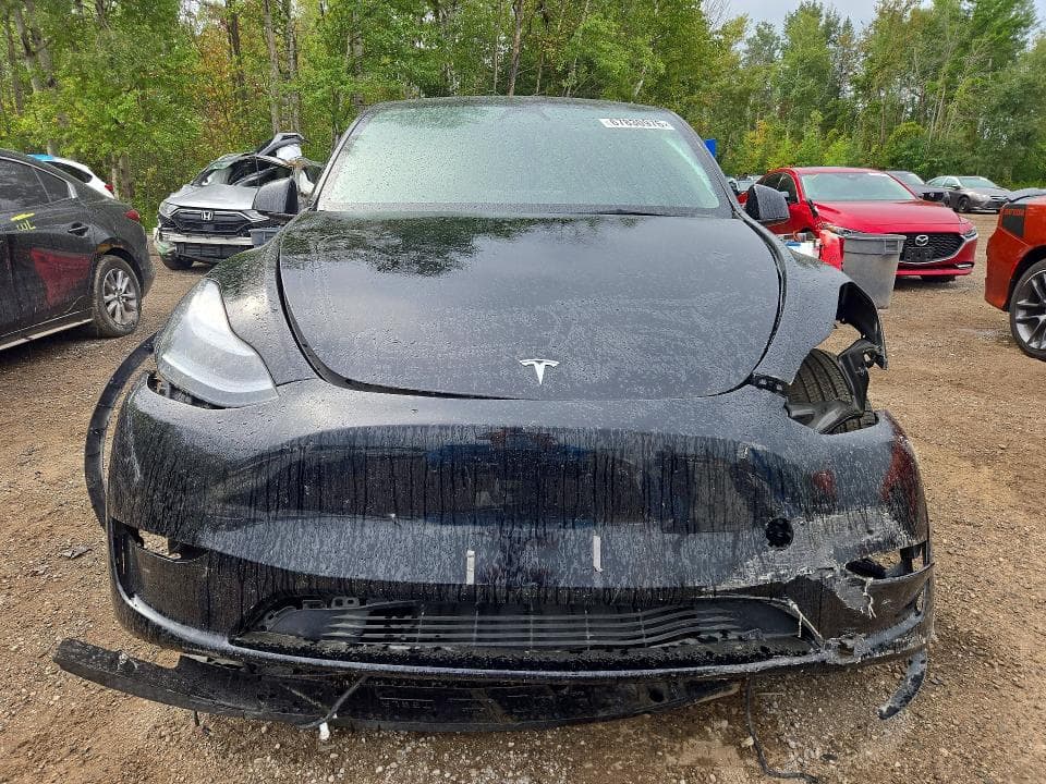 2025 TESLA MODEL Y 5