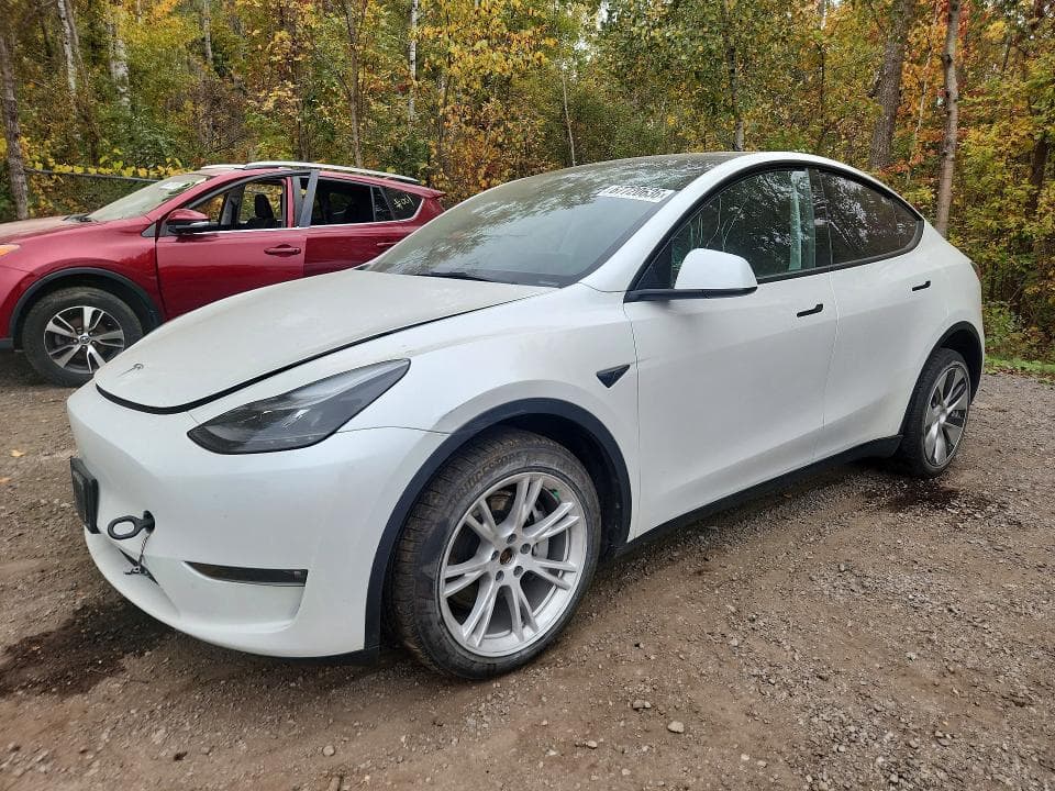 2023 TESLA MODEL Y - 1
