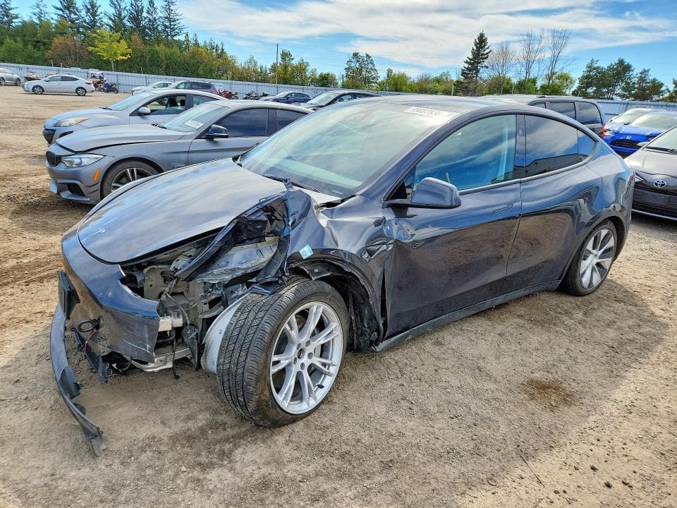 2024 TESLA MODEL Y - 1