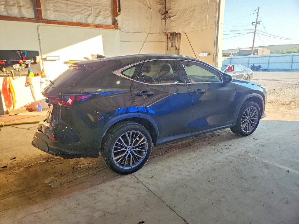 2024 LEXUS NX 350H LUXURY 3