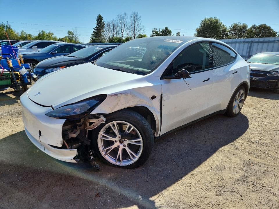 2024 TESLA MODEL Y