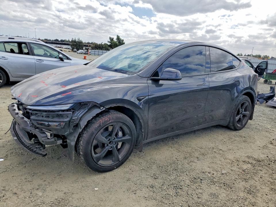 2026 TESLA MODEL Y - 1