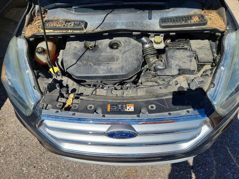 2017 FORD ESCAPE SE 11