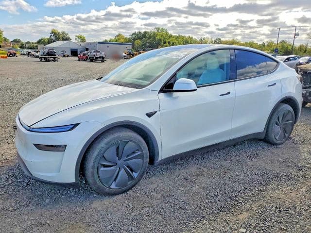 2026 TESLA MODEL Y - 1