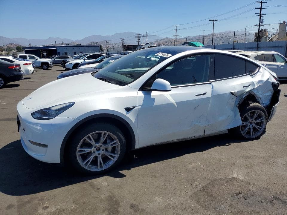 2023 TESLA MODEL Y - 1
