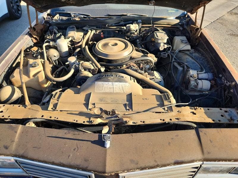 1985 OLDSMOBILE WAGON 11