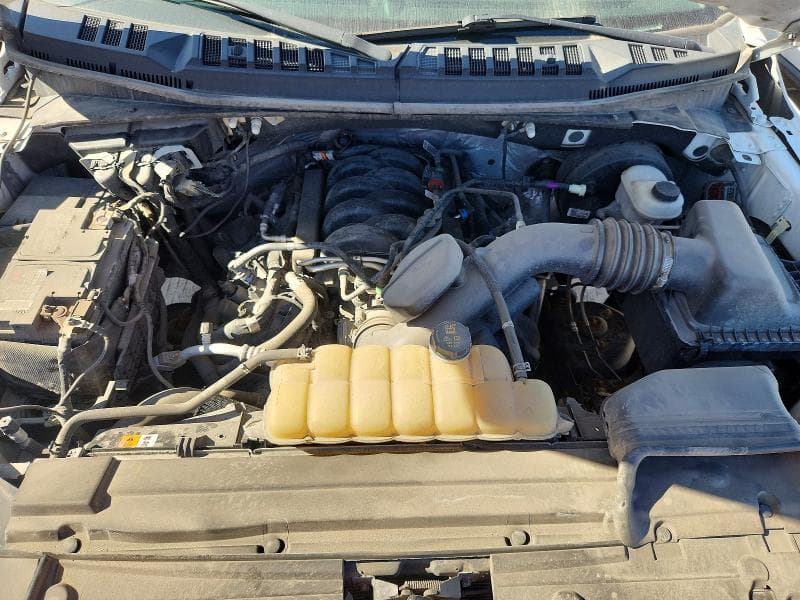 2019 FORD F150 11