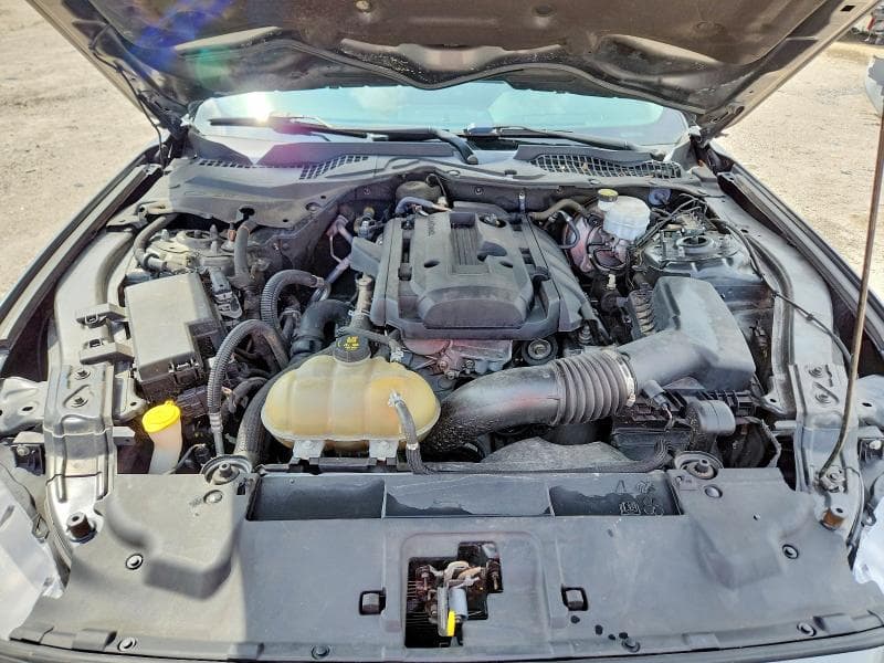 2019 FORD MUSTANG 11