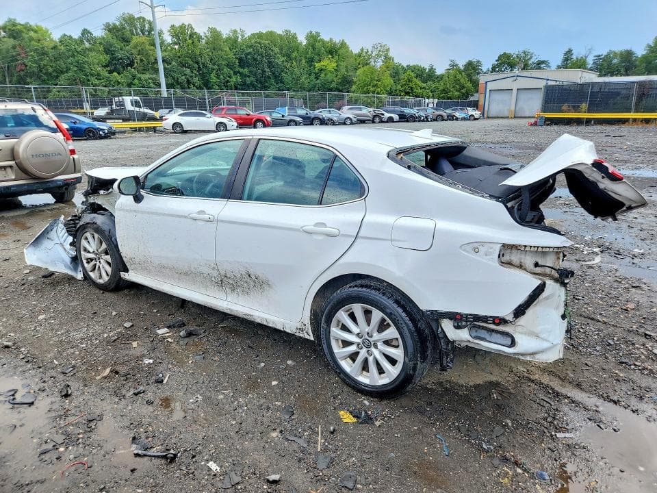 2019 TOYOTA CAMRY LE 2