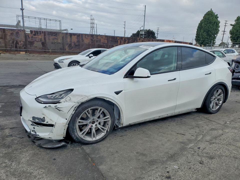 2020 TESLA MODEL Y - 1