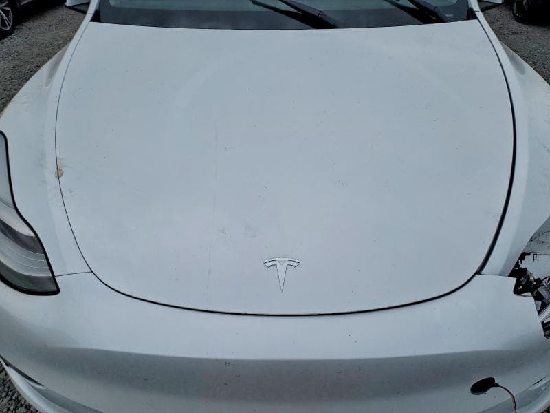 2023 TESLA MODEL Y 12