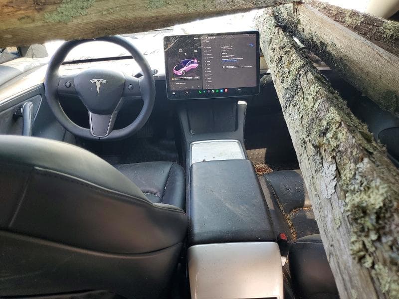 2022 TESLA MODEL 3 8