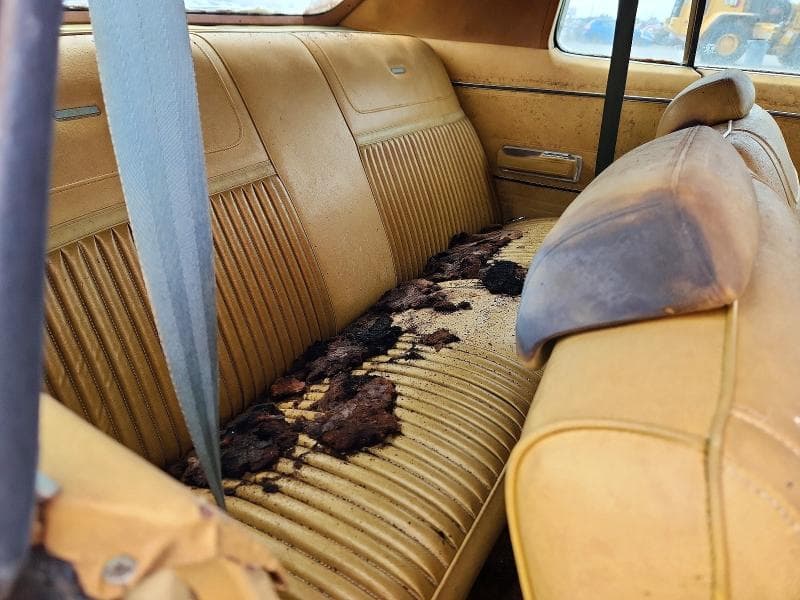 1973 CHRYSLER NEWPORT 10