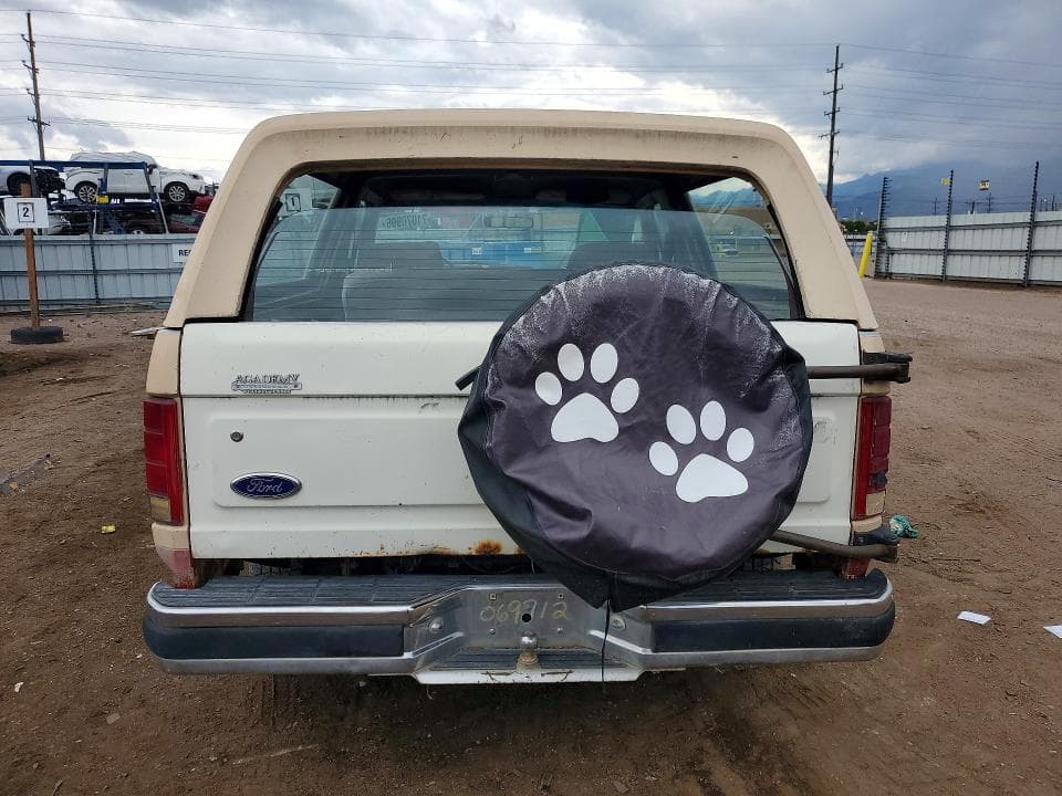 1985 FORD BRONCO U100 6