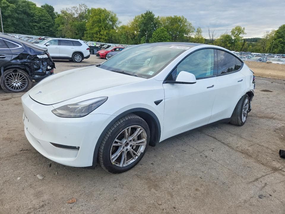 2021 TESLA MODEL Y - 1