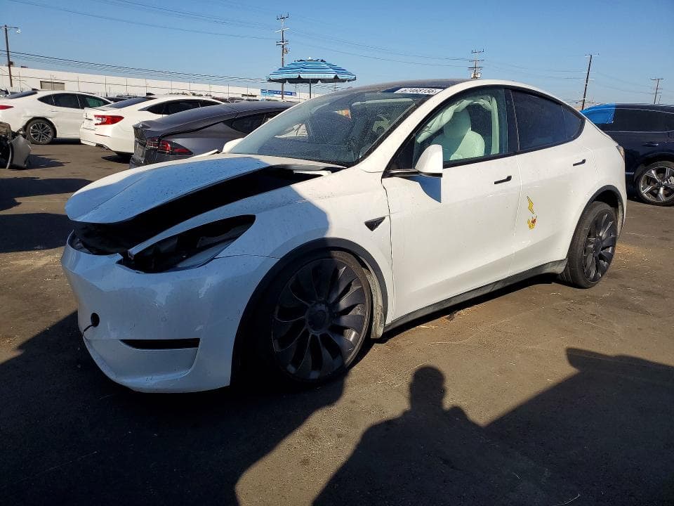2021 TESLA MODEL Y - 1