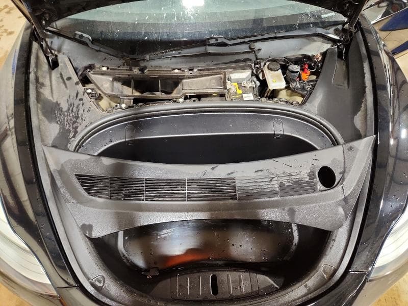 2019 TESLA MODEL 3 11