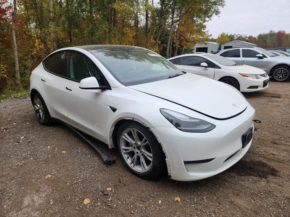2023 TESLA MODEL Y 4
