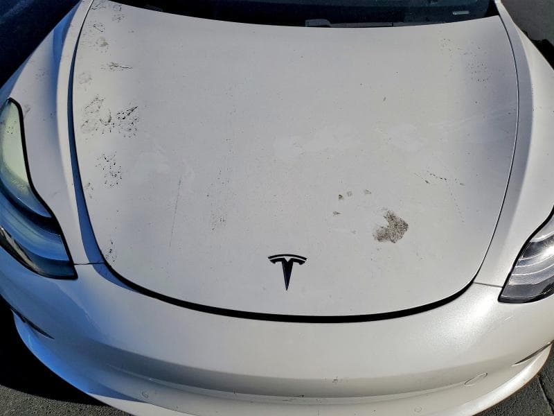 2020 TESLA MODEL 3 11