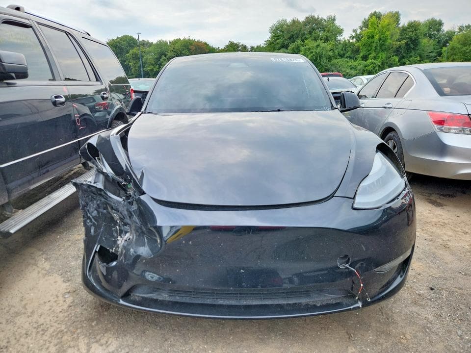2024 TESLA MODEL Y 5