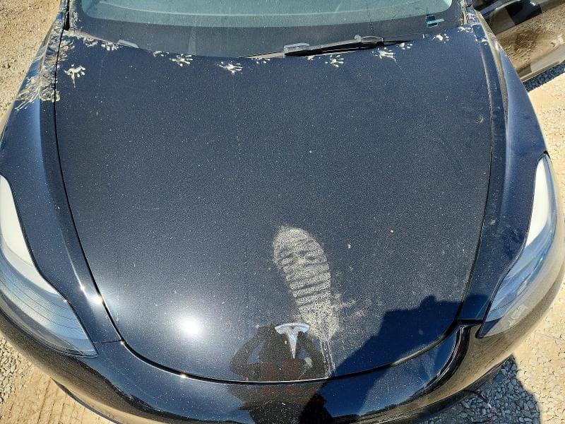 2023 TESLA MODEL 3 11