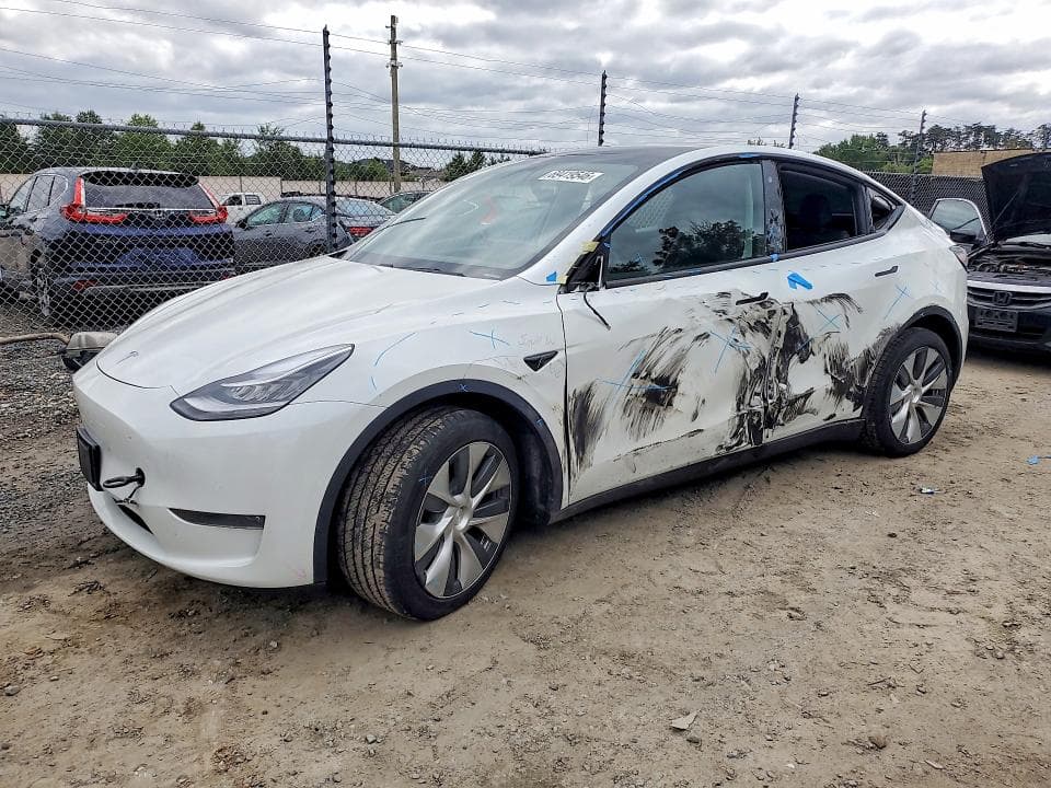 2020 TESLA MODEL Y - 1