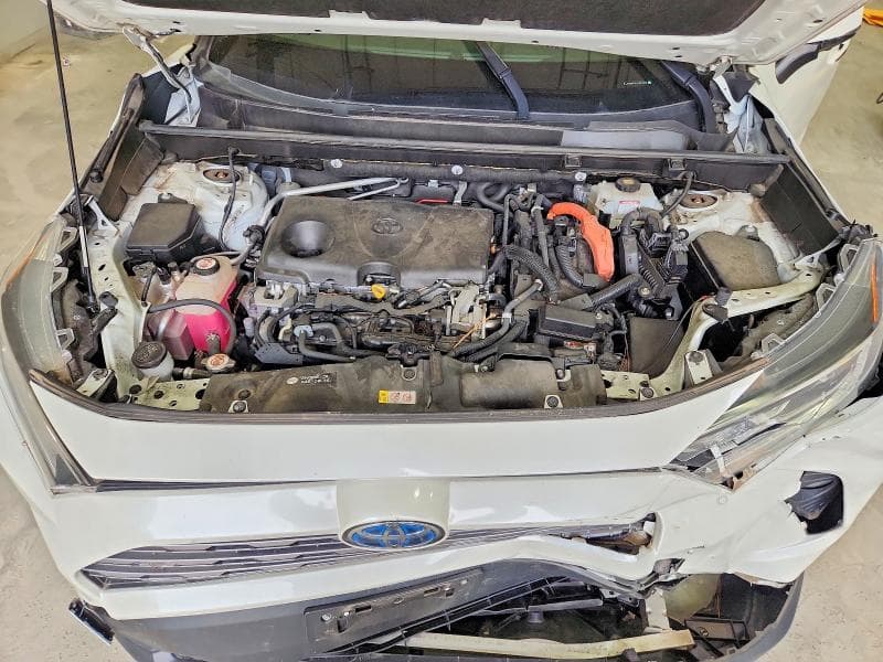 2019 TOYOTA RAV4 LIMITED 12