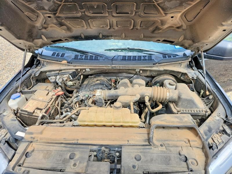 2019 FORD F150 11