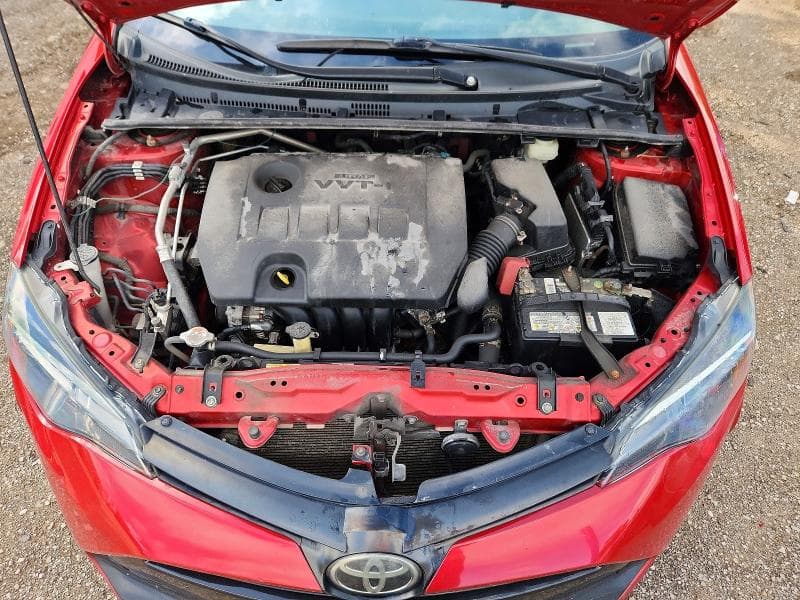 2019 TOYOTA COROLLA CE/LE 11