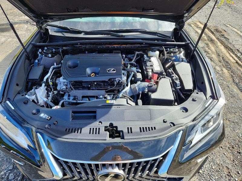 2024 LEXUS ES 250 BASE 11