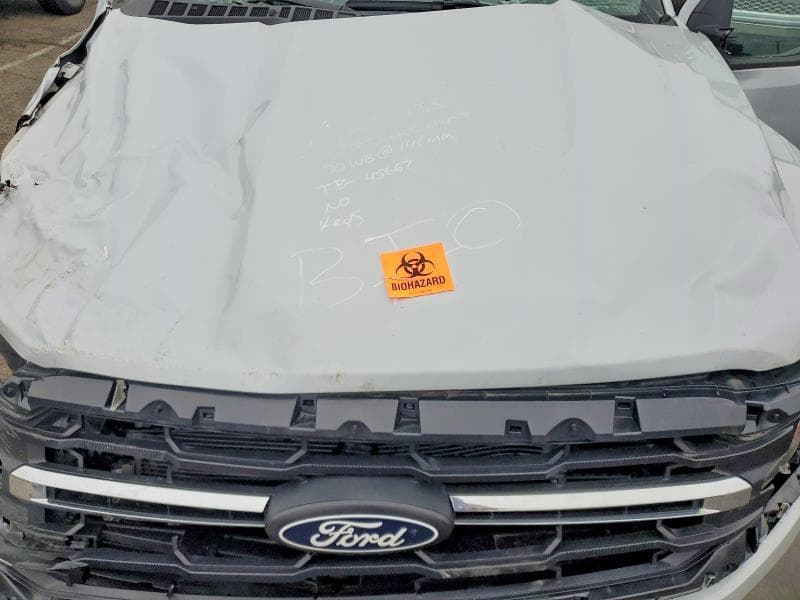2025 FORD F150 XLT 11