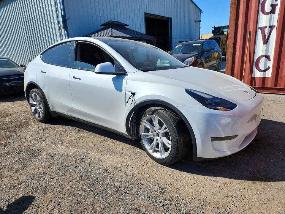 2024 TESLA MODEL Y 4
